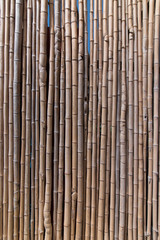 dry bamboo