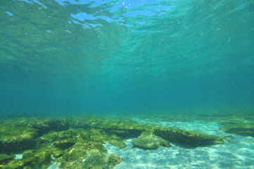 Flat sea bottom with areas of sand and flat rocks covered with short algae in shallow water.