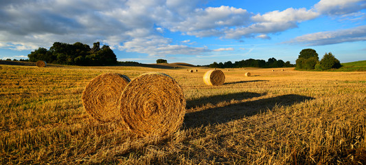 Bales of Straw in Stubble Field during Harvest, Warm Light of the Setting Sun, Blue Sky with Clouds