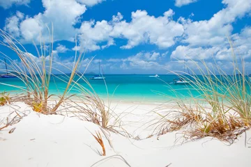 Crédence en verre imprimé Whitehaven Beach, île de Whitsundays, Australie Belle eau bleue de Whitehaven Beach dans les Whitsundays