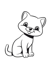 Cat baby cute