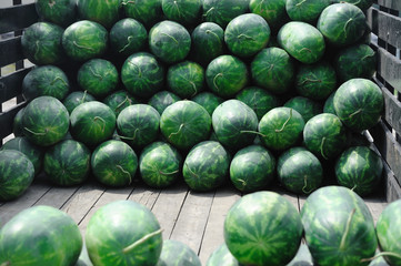 Fototapeta na wymiar piles of fresh watermelon for sale