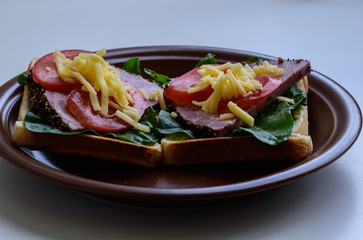 Toast with roasted meat, tomatoes, sorrel and mozzarella cheese served on clay plate