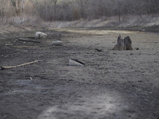 Dry streambed