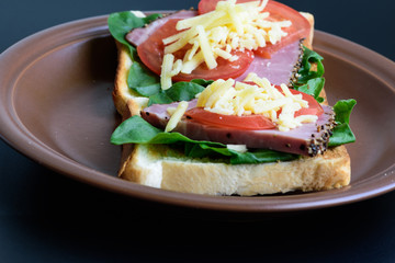 Toast with roasted meat, tomatoes, sorrel and mozzarella cheese served on clay plate