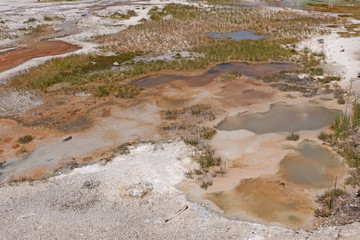 Colorful Pools in a Geyser Basin