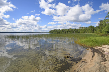 Reflections on a Sandy Shore in the Wilds