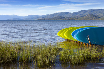 Rental Stand Up Paddle boards on shore of Lake Tahoe, California.