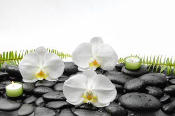 Fototapeta na wymiar White orchid and candle and fern on black stones