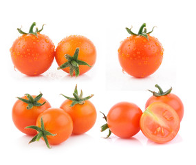 tomato on white background