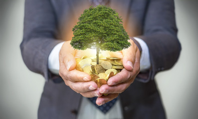 Hands holding a tree growing on coins / csr green business / business ethics / good governance - 131615709