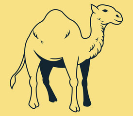 Camel Line Art