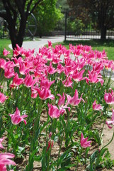 Beijing Botanical Garden