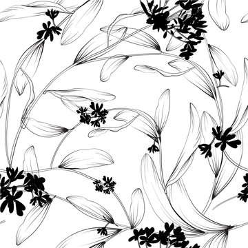 Plants and herbs seamless pattern