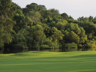 Golf Course 2