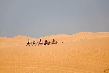 camels caravan riding in desert