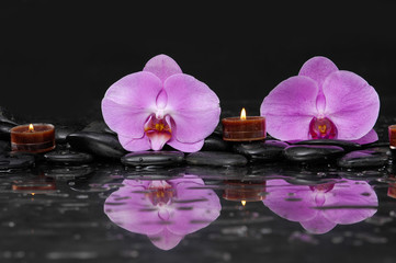 Fototapeta na wymiar Two orchid and candle on black stones