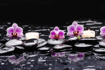 Pink orchid and white candle on black stones