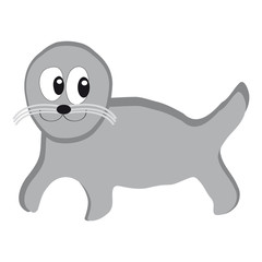 Seal on white background