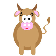 Cow on  white  background