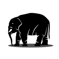 Fototapeta premium Isolated elephant. silhouette