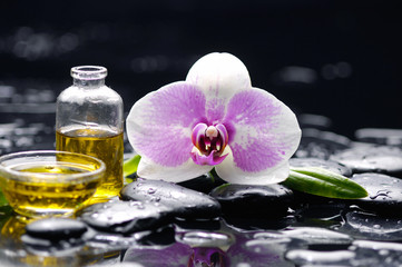White orchid ,with oil and therapy stones 