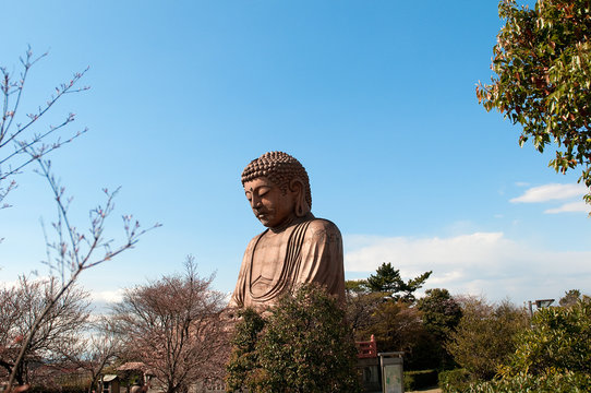 聚楽園の大仏