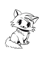 Cat baby cute funny cute