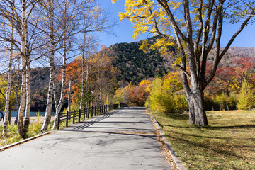 ハイキングコース