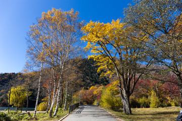 Obraz premium ハイキングコース