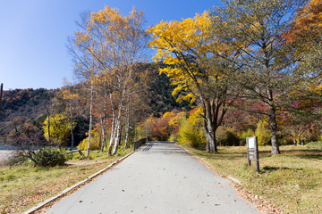 Obraz premium ハイキングコース