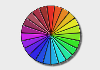 Color wheel / The Colored wheel with shadow on a white background.