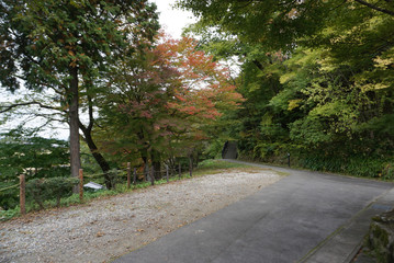 Autumn leaves along Higashiyama Walking Course