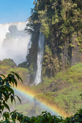 Obraz premium Argentinian Side of Iguazu Falls in Misiones Province, Argentina