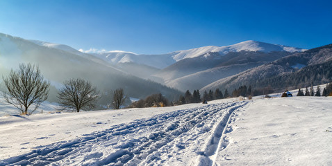 Beautiful snow-capped Carpathian Mountains in a light morning mi