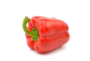 papryka