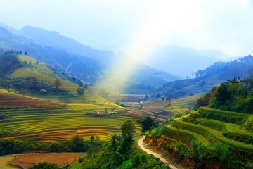 Rice fields on terraced of Mu Cang Chai, YenBai, Vietnam. Vietnam landscapes.