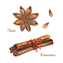 Set of spices with cinnamon sticks and star anise on a white background. Watercolor isolated illustrations set. Vector design by flyer, poster, printing, mailing, invitation, card, menu of cafe