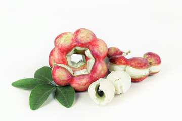 Manila tamarind fruit isolated on white background