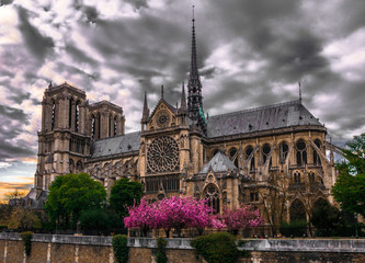 Notre-Dame la magnifique France Paris