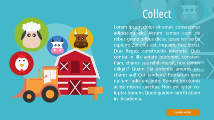 Collect Conceptual Banner