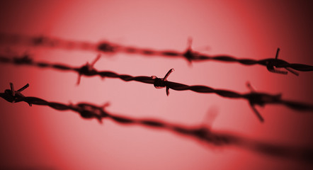 barbed wire and the red background