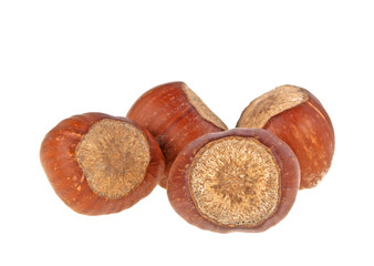 Hazelnuts on a white background