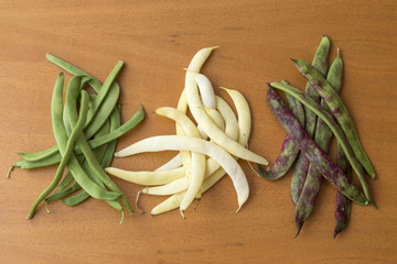 Bean pods of different colors