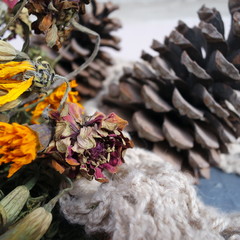 Autumn withered flowers