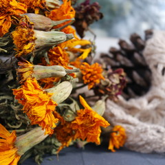 Autumn withered flowers