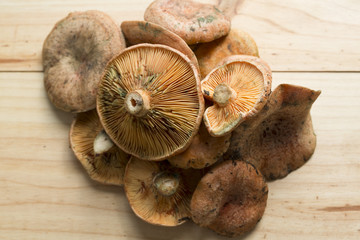 Mushrooms on a white plate.