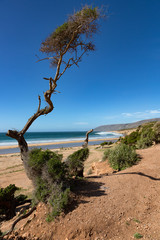 Au bord de l'océan vers Taghazout au nord d'Agadir - Maroc