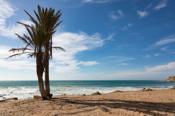 Au bord de l'océan vers Taghazout au nord d'Agadir - Maroc