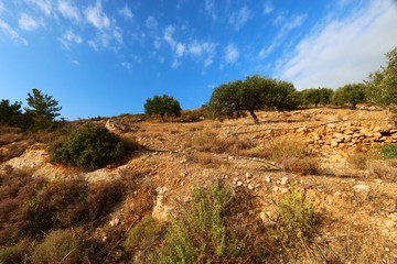 landscape of Crète , Greece 